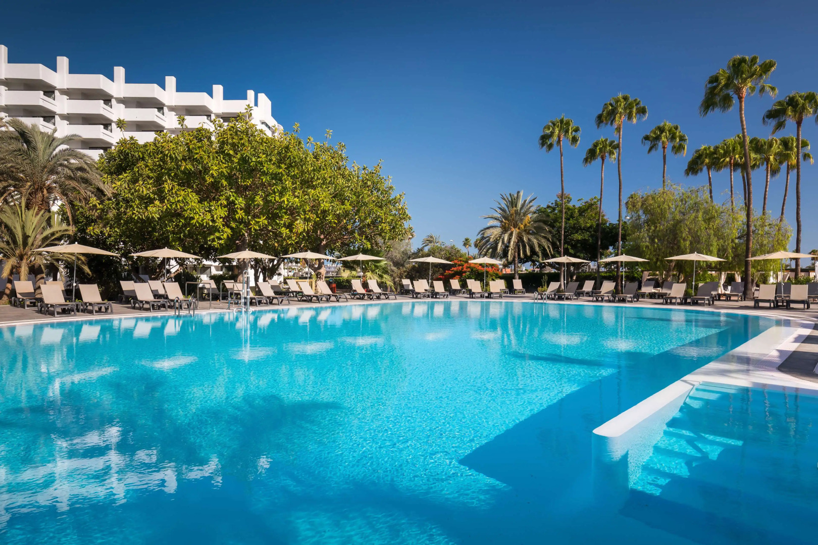 Foto - Barceló Margaritas Royal Level Adults Only