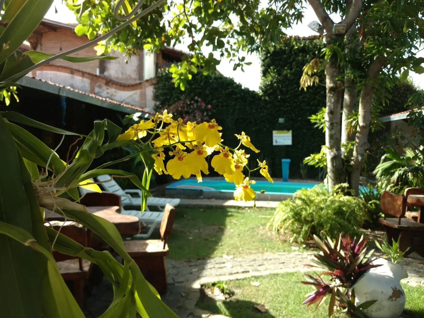 Foto - Pousada Sempre Graciosa