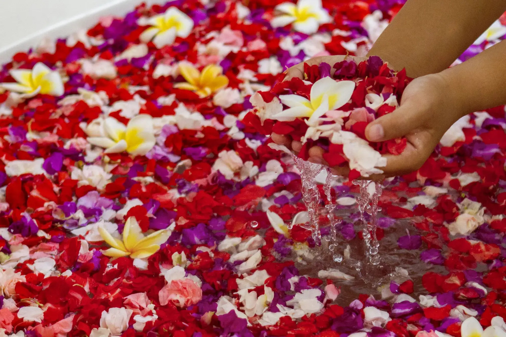 Foto - Bali Taman Beach Resort & Spa Lovina