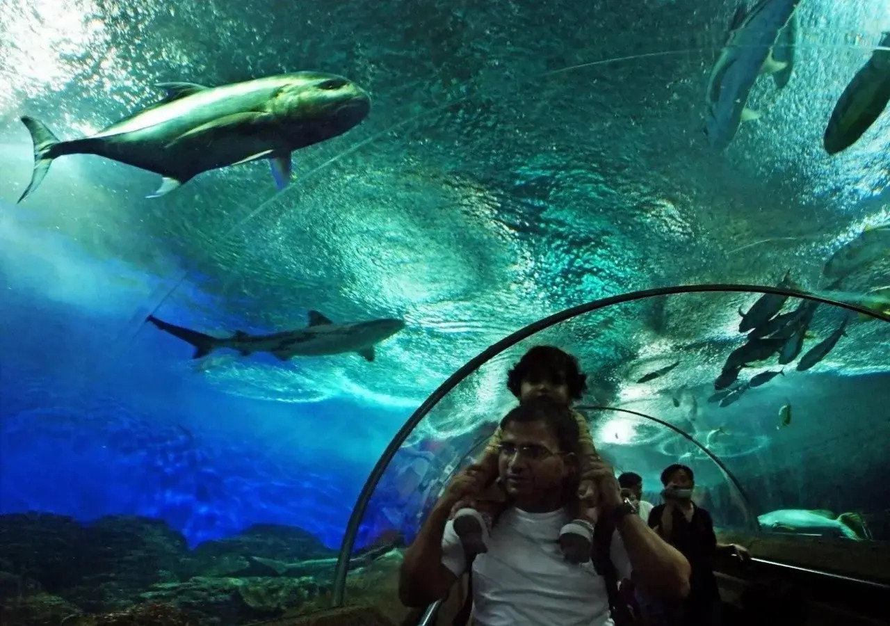 Foto - Sheraton Towers Singapore Hotel