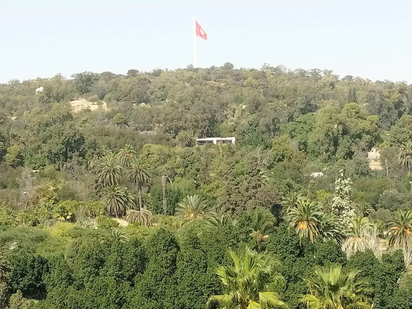 Foto - Golden Tulip El Mechtel