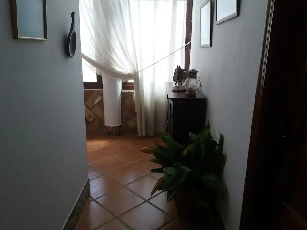 Photo - El Perro de Paterna