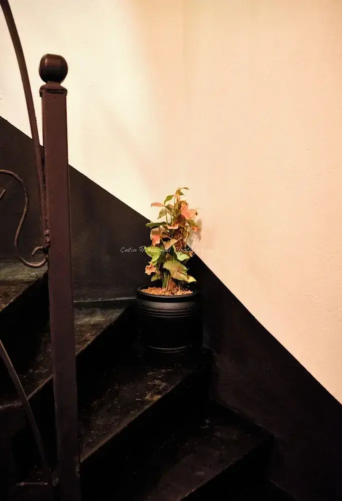 Photo - Reu de Hotel