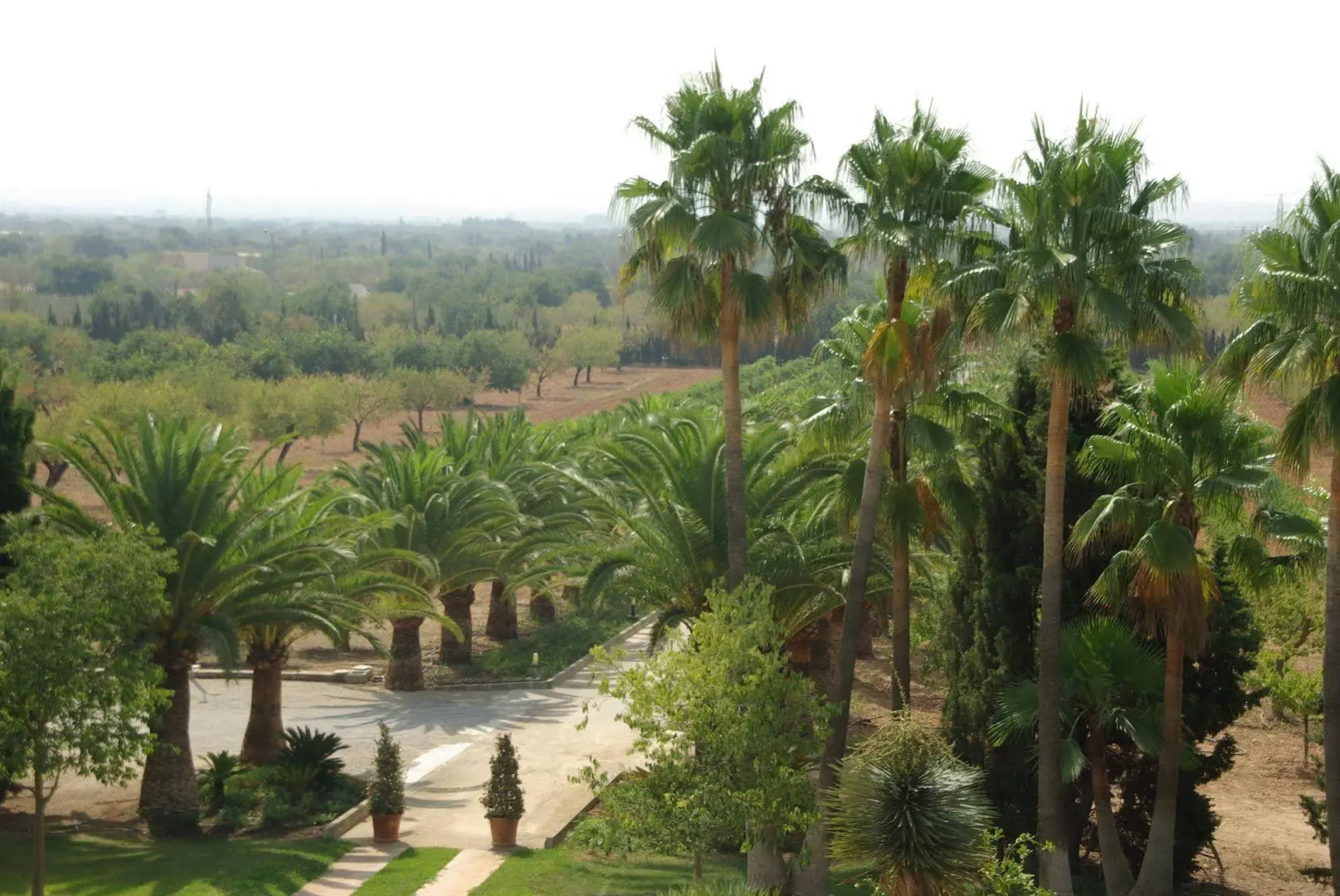 Foto - Sa Cabana Hotel & Spa - Adults Only