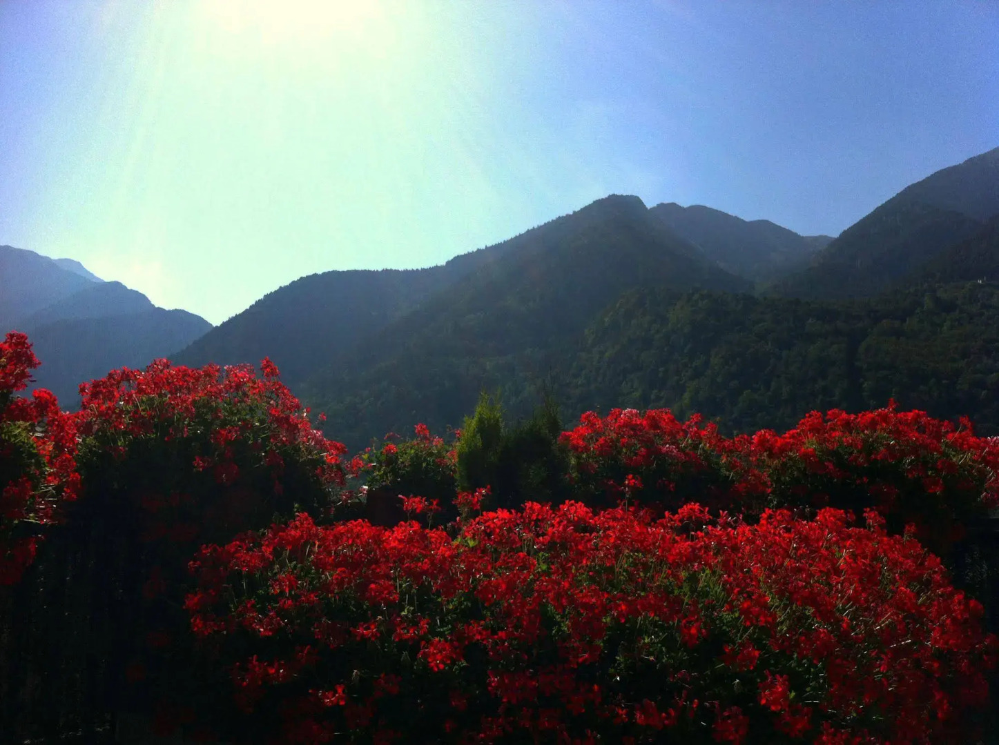 Foto - Hotel Pyrénées