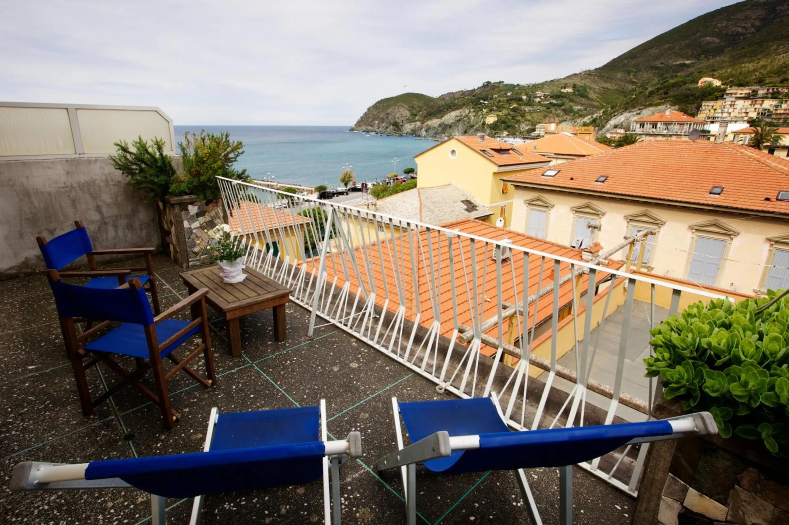 Photo - Hotel Garden