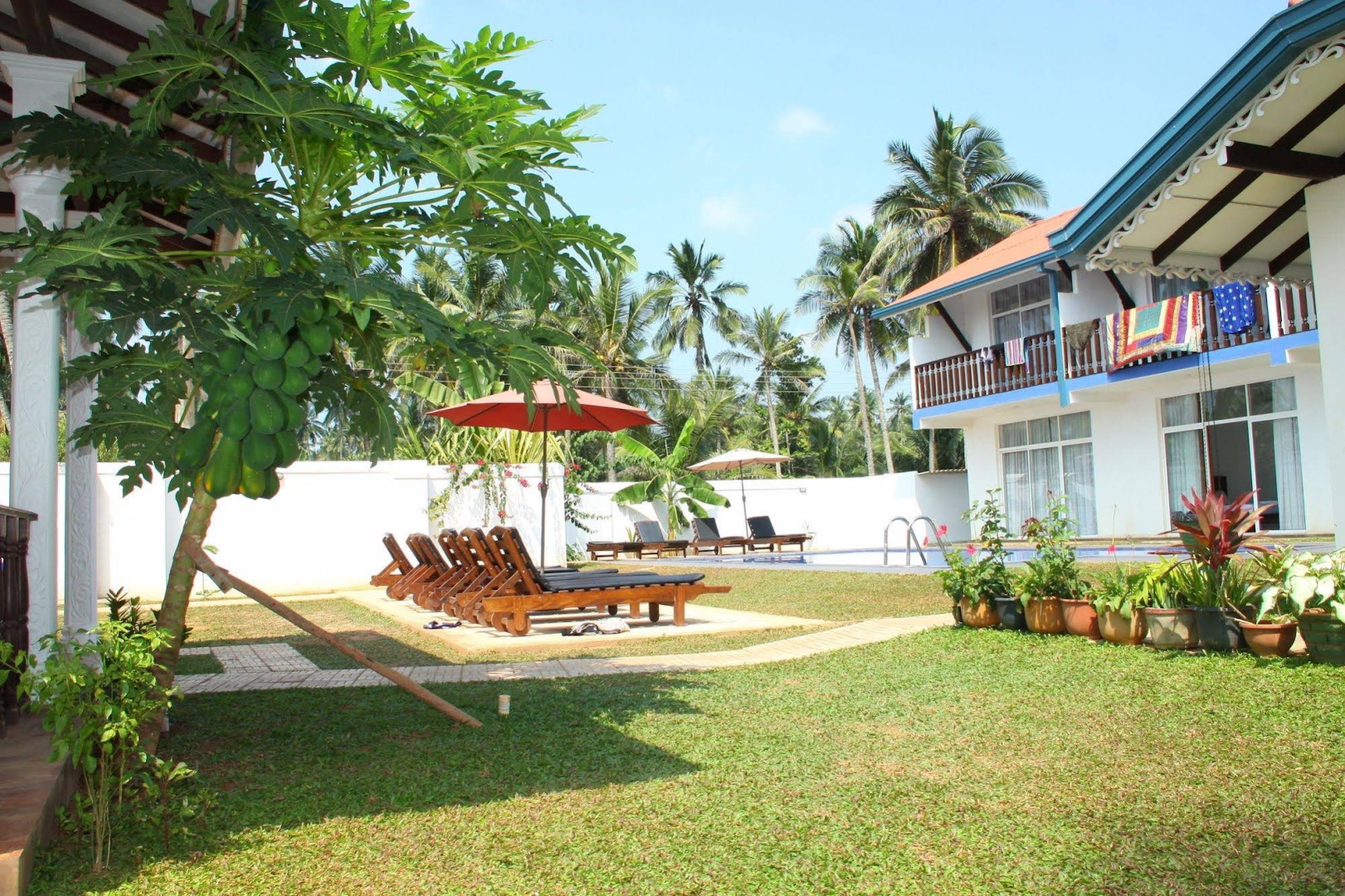 White Rose Resort