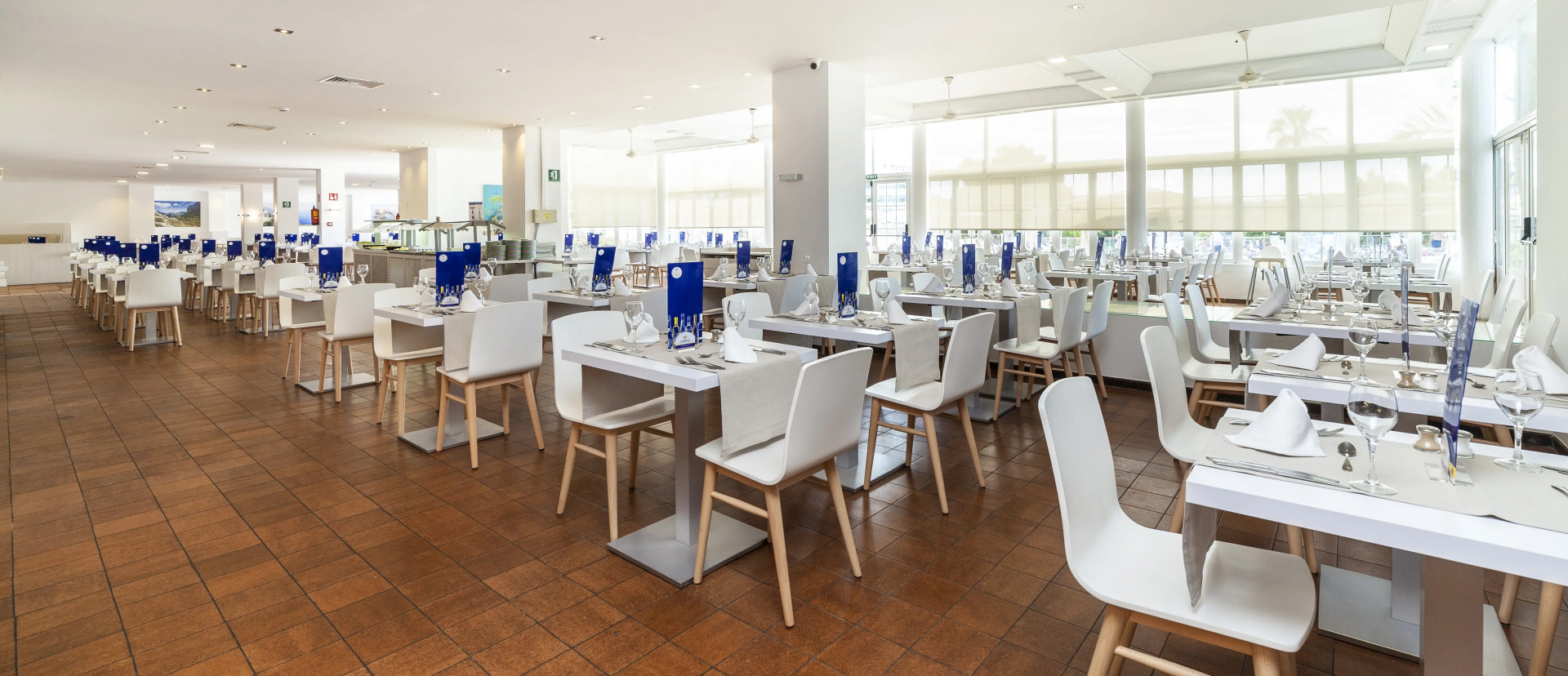 Foto - Globales Mimosa