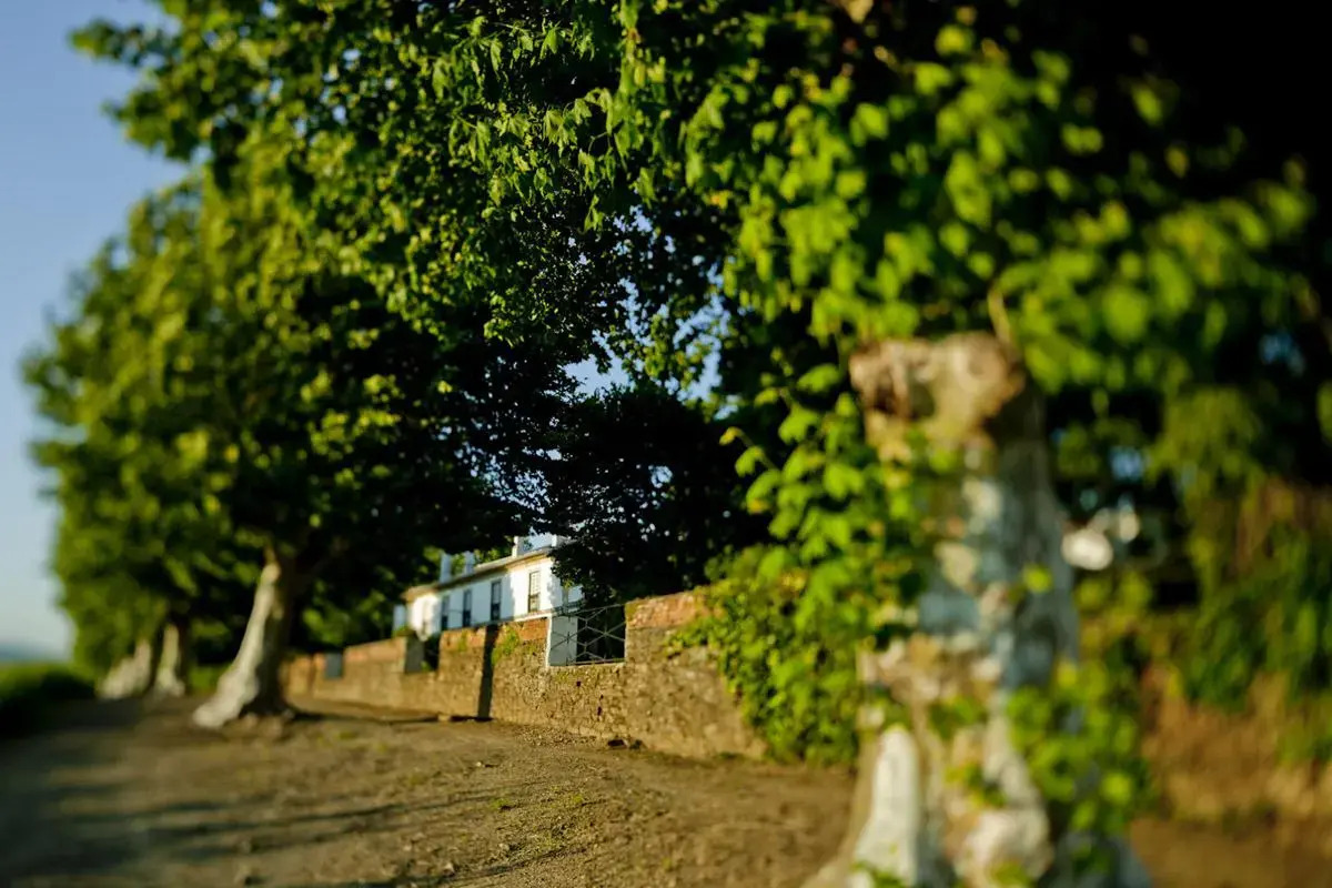 Photo - Pacheca The Wine House Hotel e Spa - Quinta da Pacheca