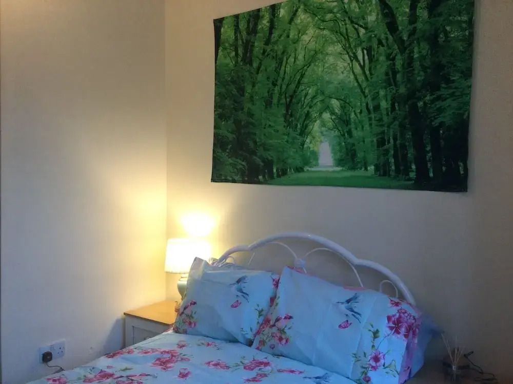 Photo - TDM Bachelot Lettings Ltd