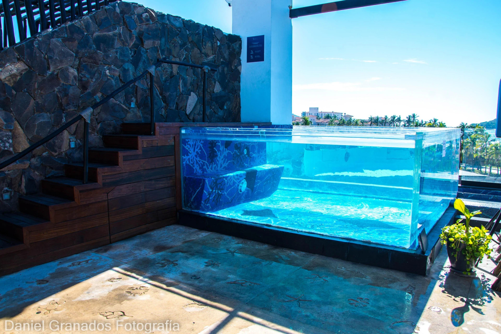 Foto - The Xperience by g