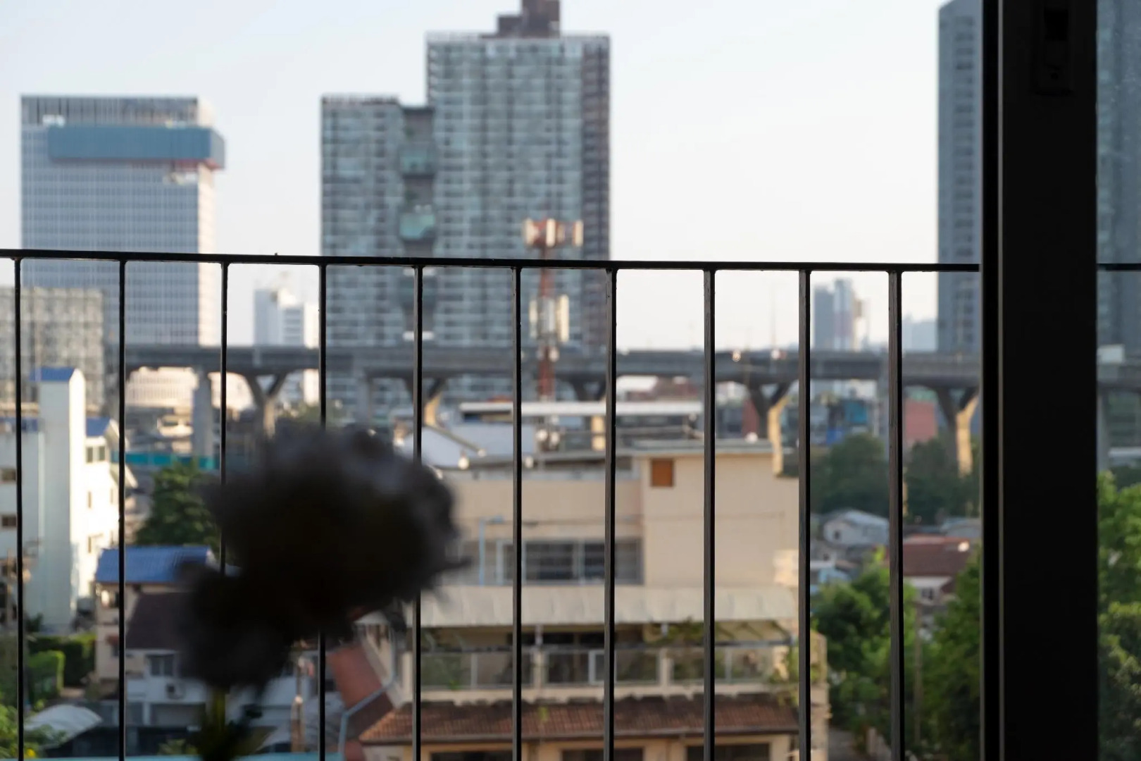 Foto - Lily Hotel Bangkok