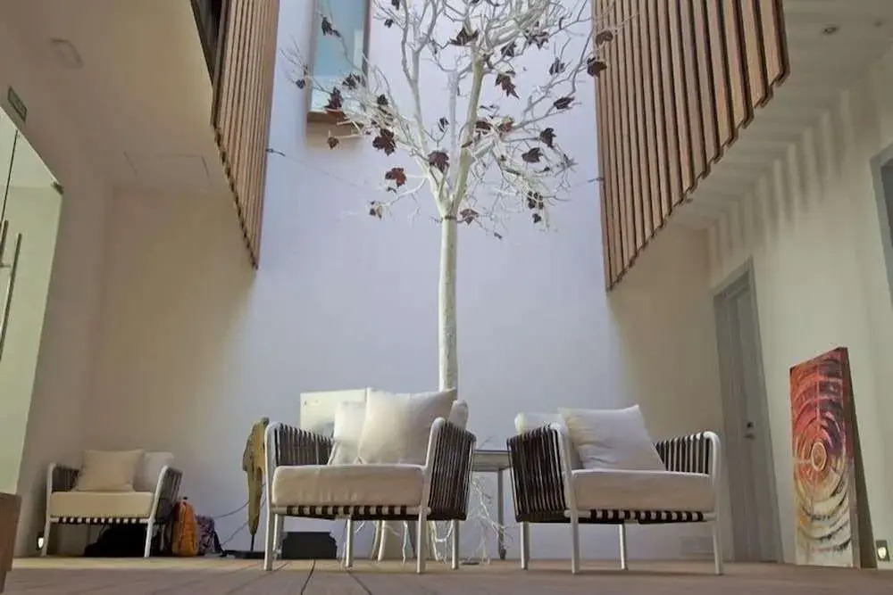 Foto - Aristoy - by Grupo Tribu