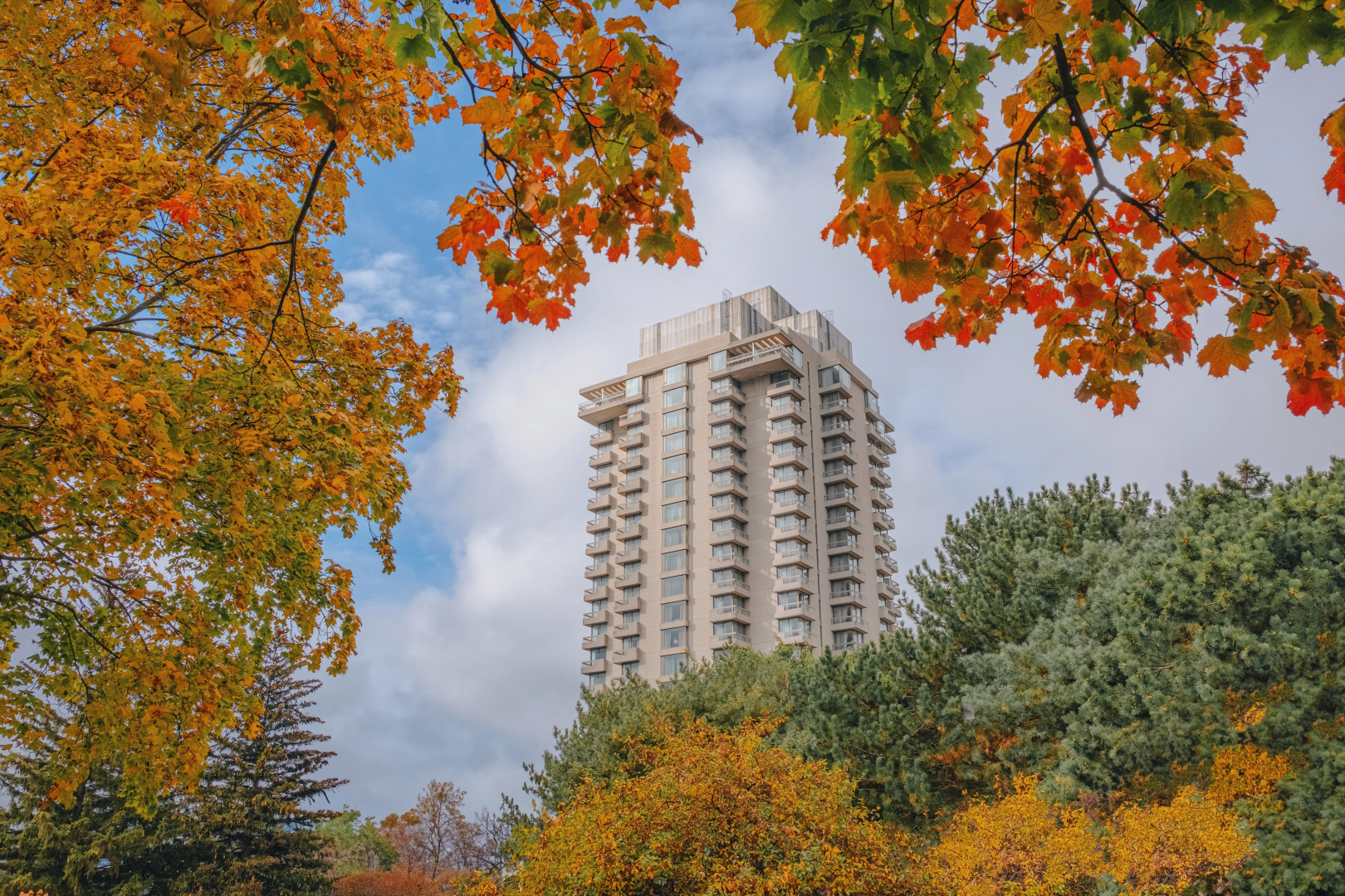 Foto - Crowne Plaza Toronto - North York by IHG
