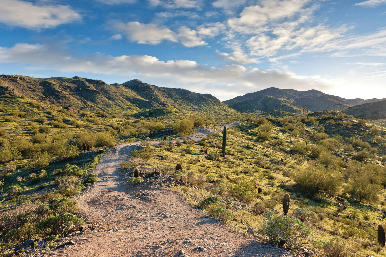 Photo - Raintree at Phoenix South Mountain Preserve