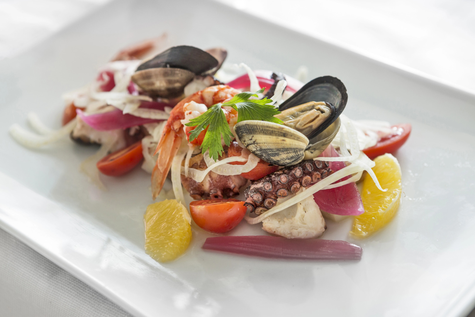 Foto - Hotel La Bitta - Bovis Hotels