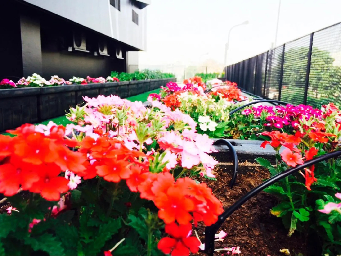 Foto - BTH Hotel – Boutique Concept