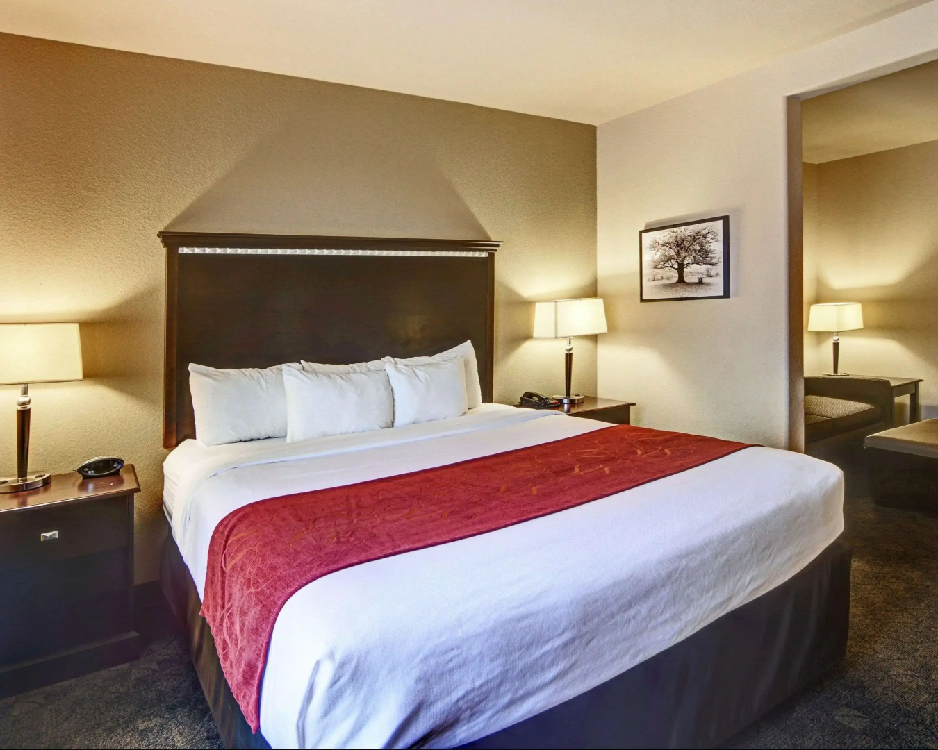 Foto - Comfort Suites Arlington - Entertainment District
