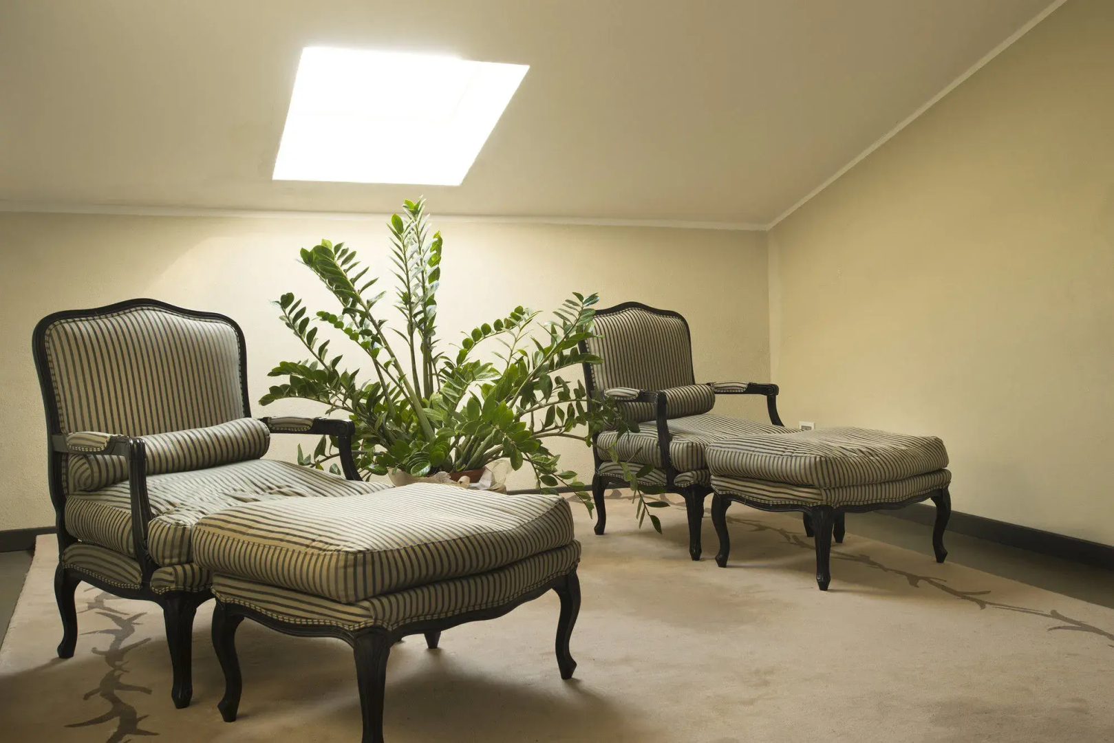 Photo - Villa Mosca Charming House