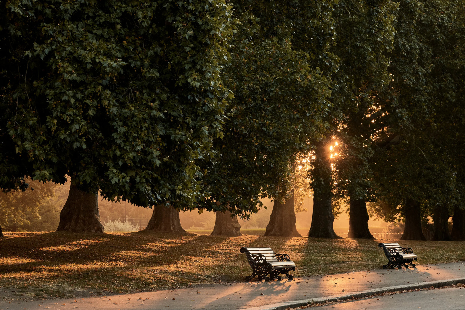 Foto - Six Senses London