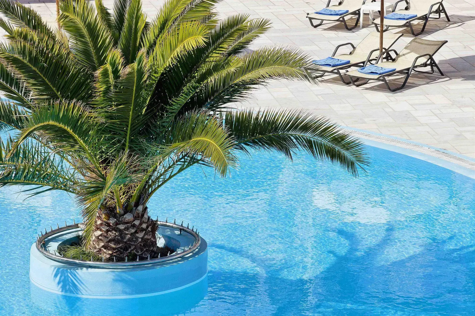 Foto - Aegean Plaza Hotel