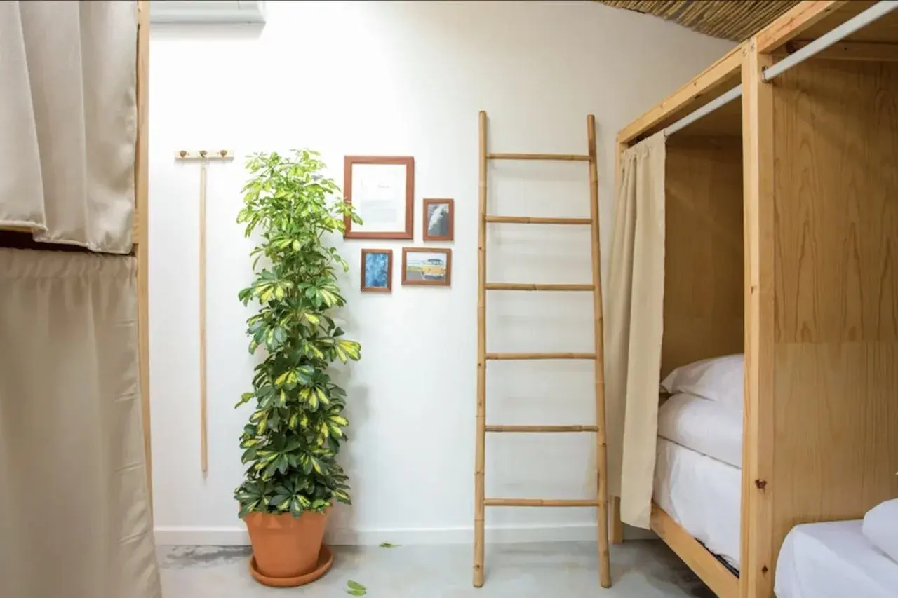 Foto - Selina Ericeira