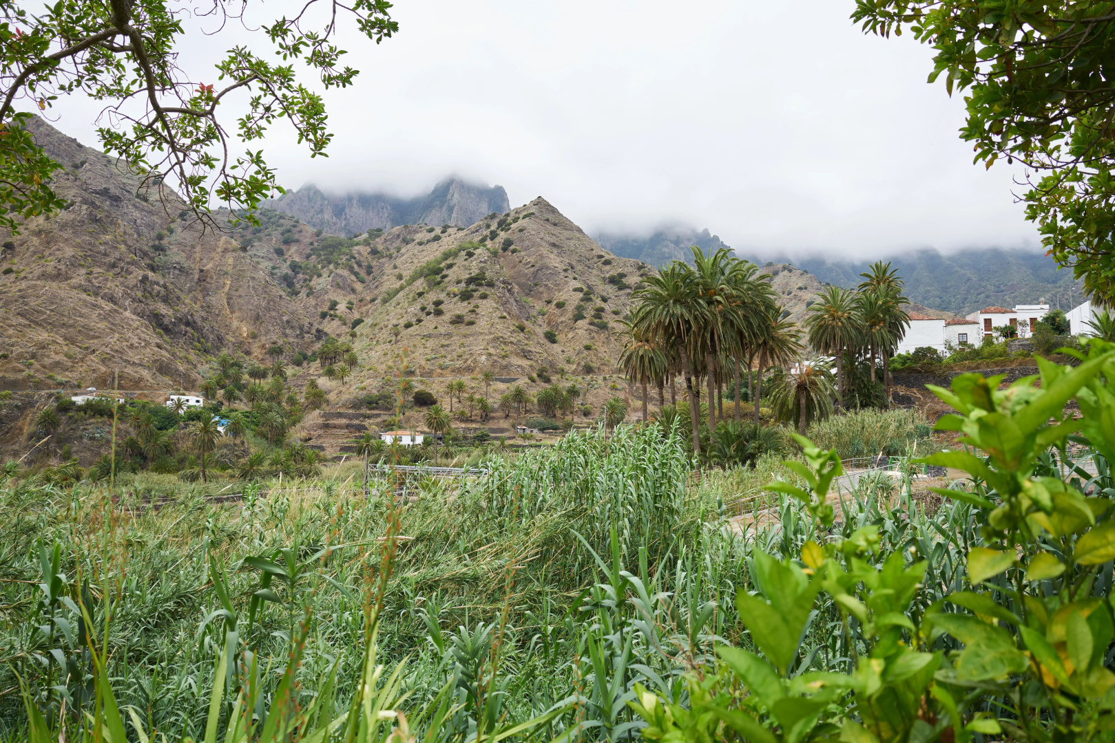Foto - Finca Pinero