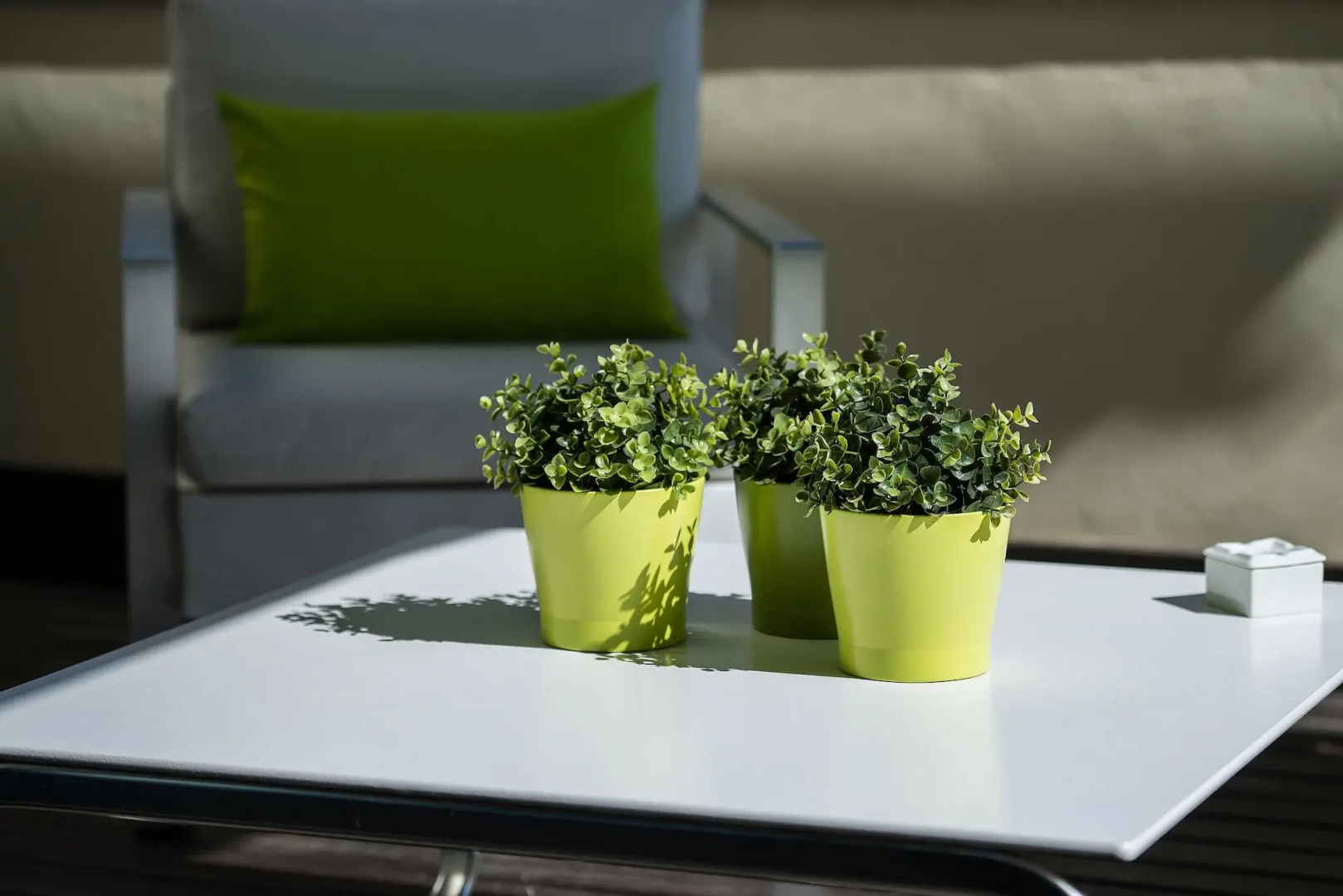 Foto - Vincci Centrum