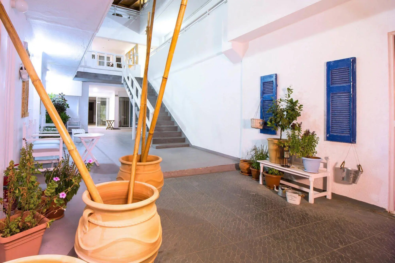 Photo - Tinas Plus Hotel