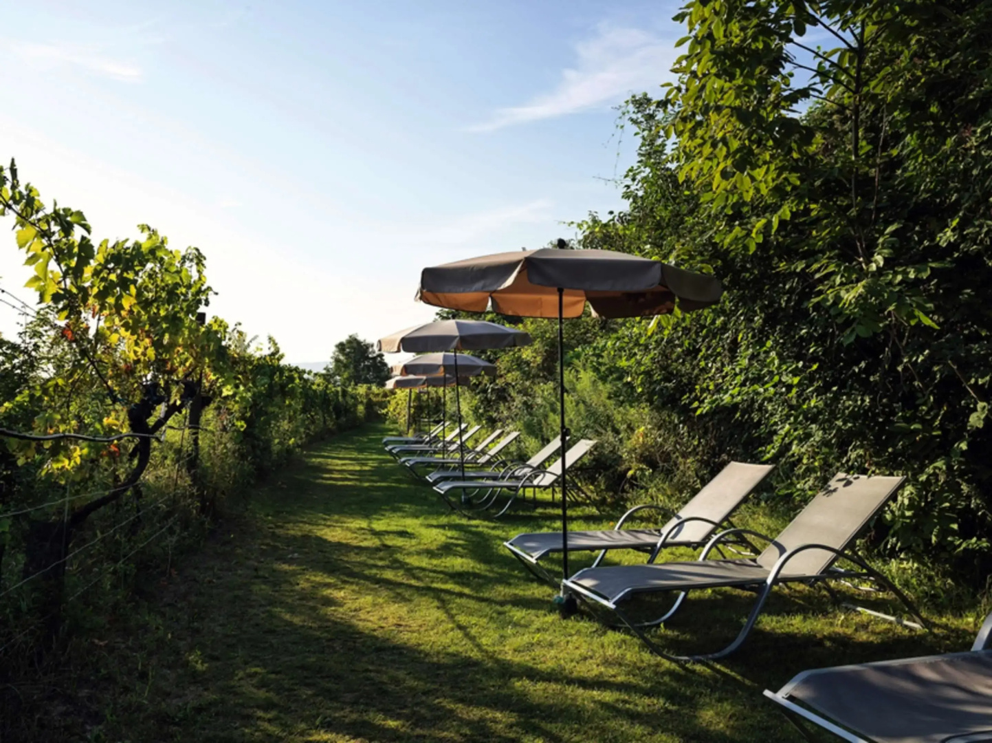 Foto - Steigenberger Hotel & Spa Krems