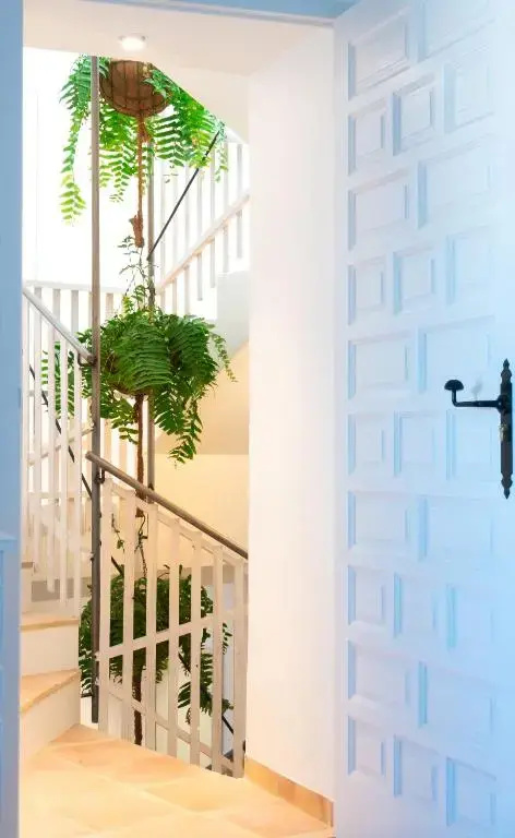 Photo - Porta Nova Suites Altea - Adults Only
