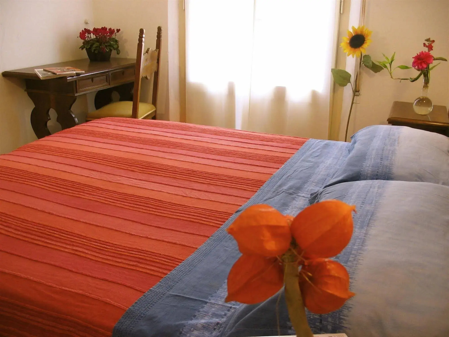 Foto - Hotel Doria