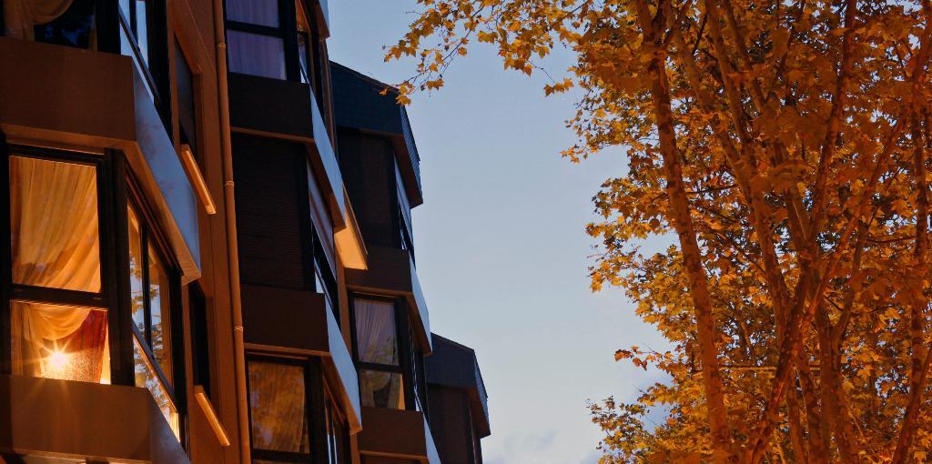 Foto - Warwick Reine Astrid - Lyon