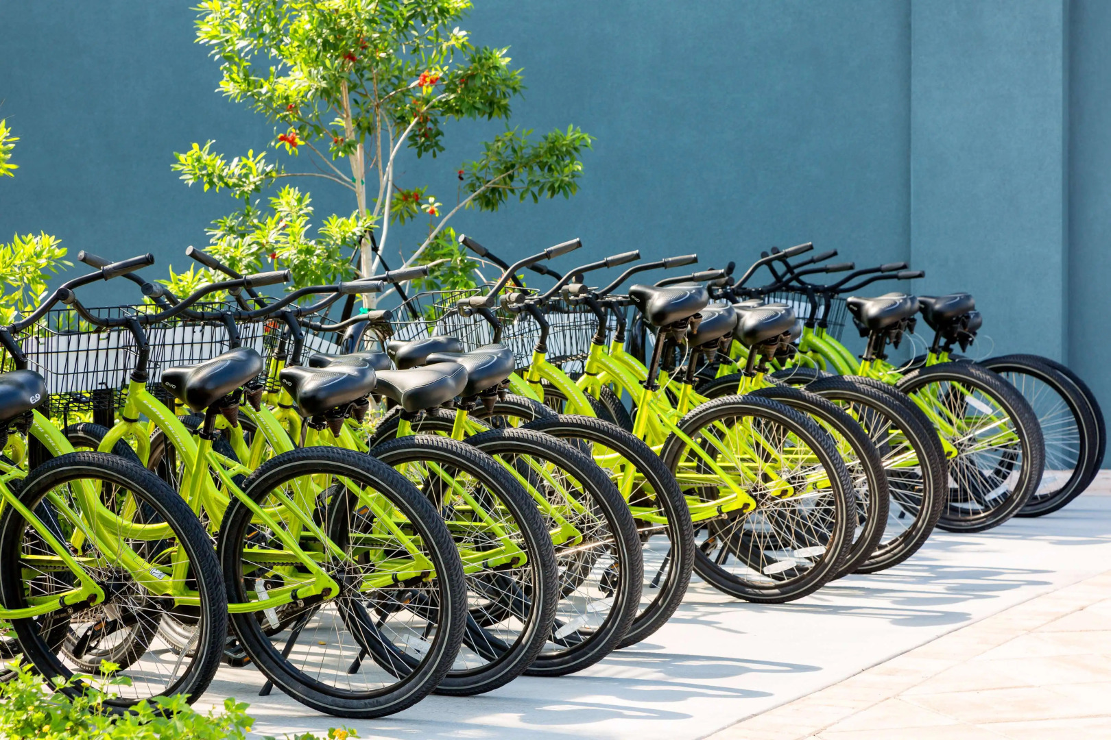 Foto - Hilton Garden Inn Key West / The Keys Collection