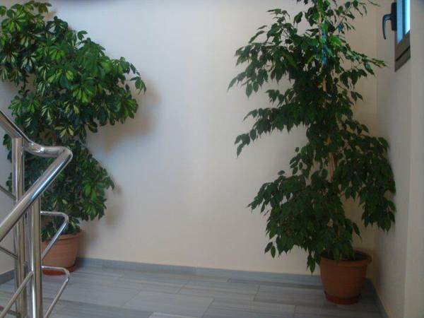 Photo - Erdeti Boutique Hotel