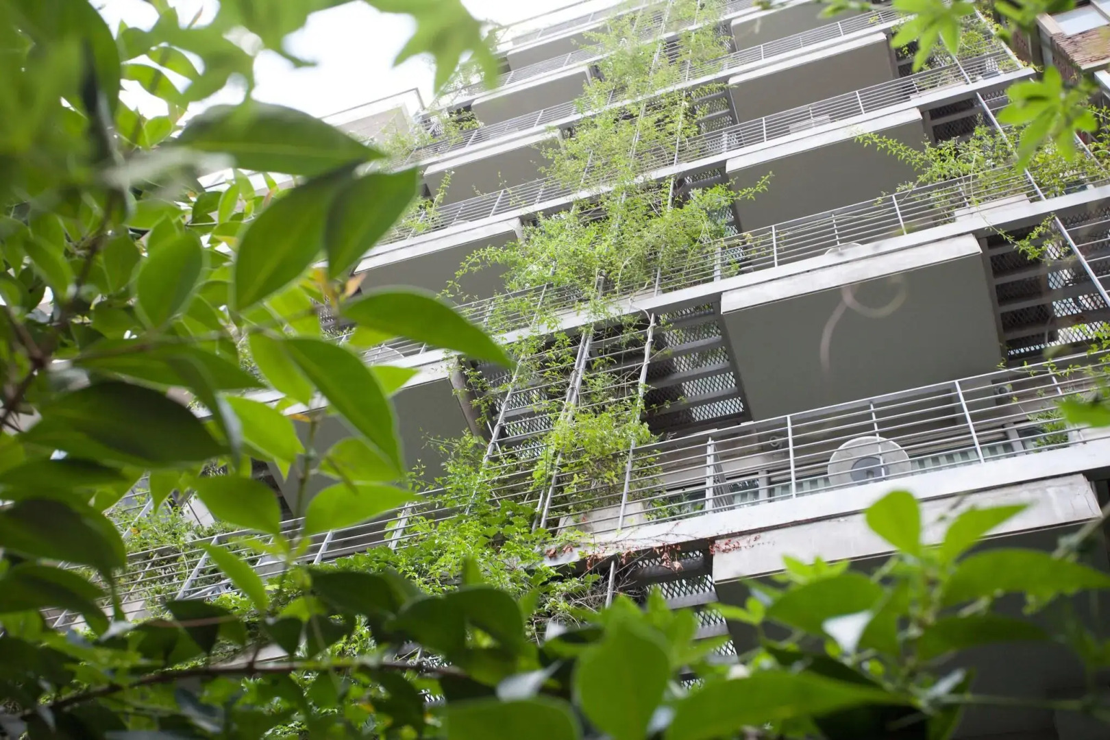 Photo - Palo Santo Hotel