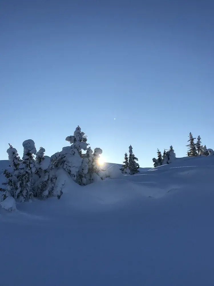 Photo - The Apartments Company - The Sweet