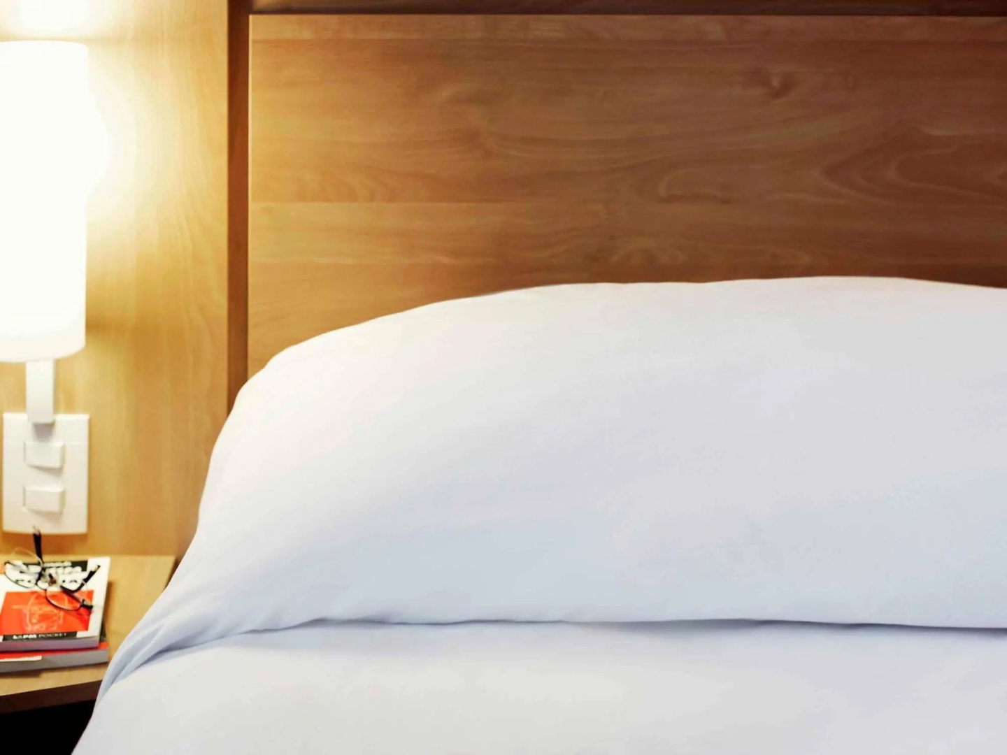 Ibis Novo Hamburgo