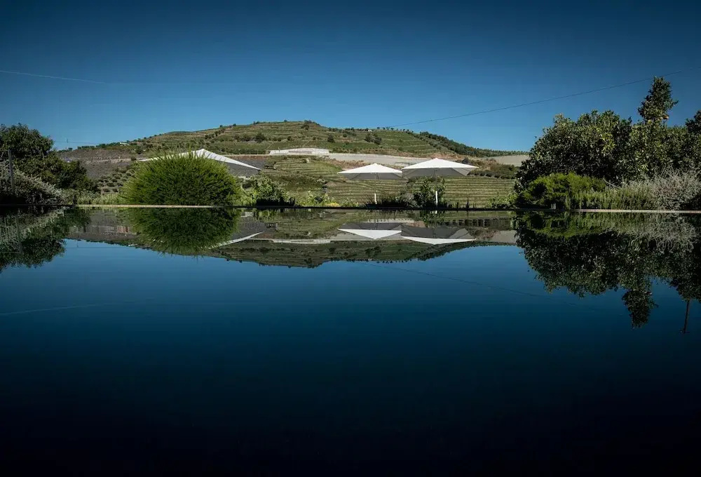 Foto - Quinta do Vallado - Douro Wine Hotel