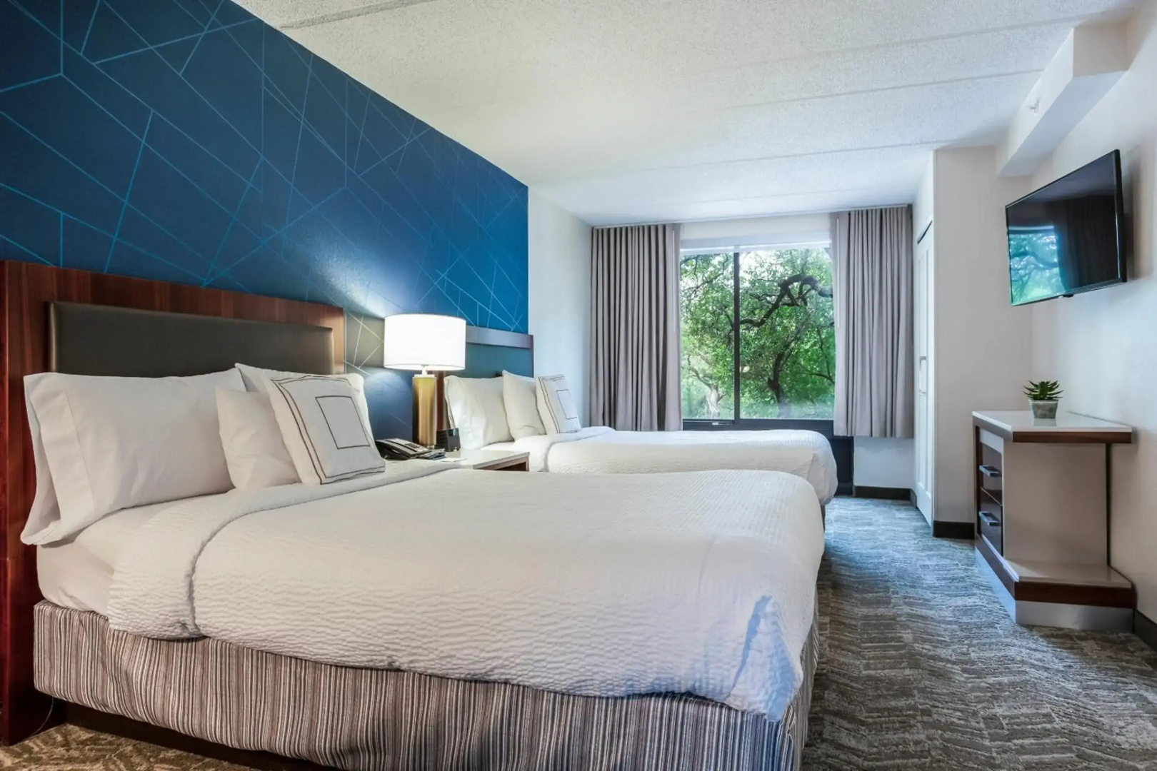 Photo - SpringHill Suites by Marriott Austin The Domain Area