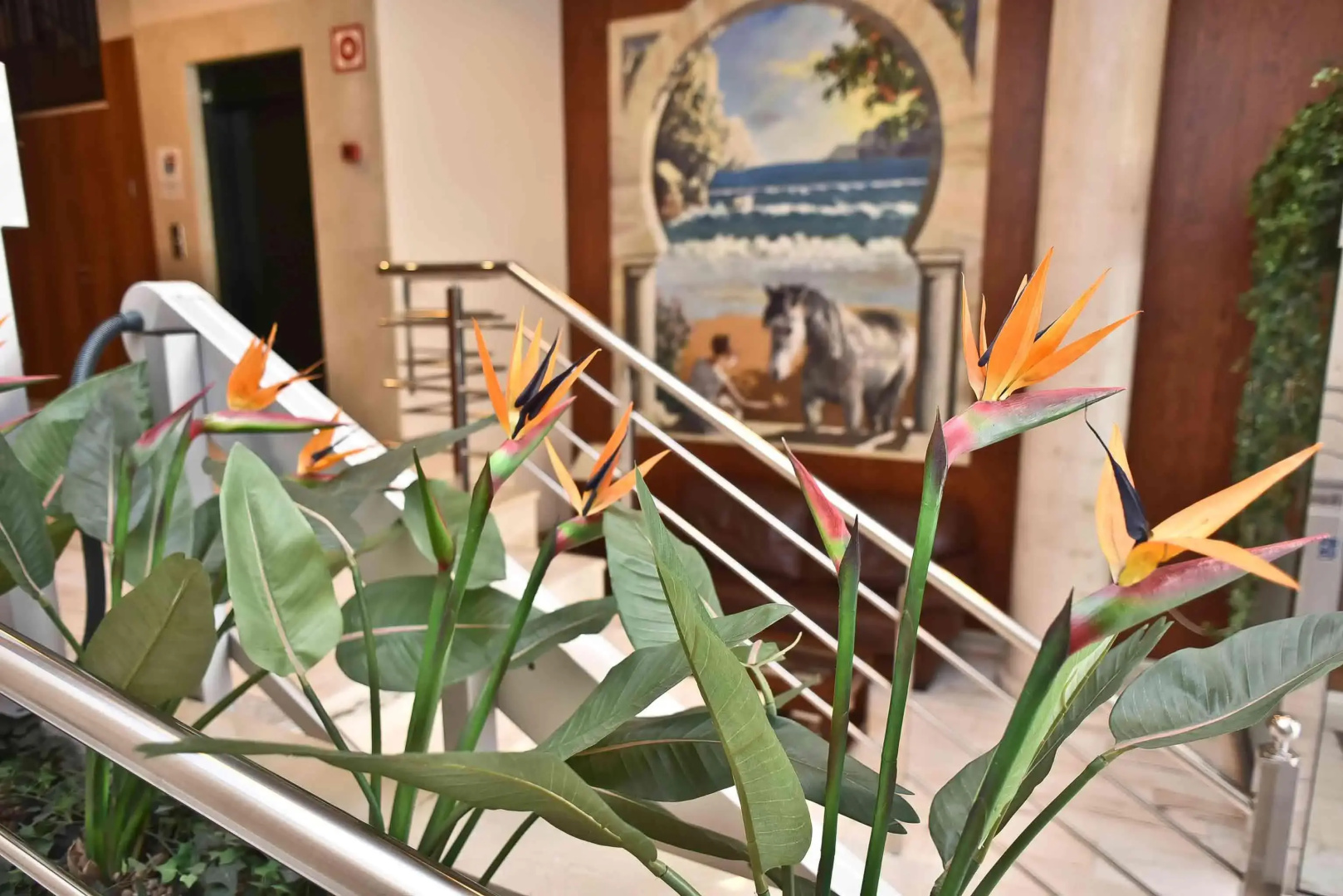 Photo - Hotel Adsubia