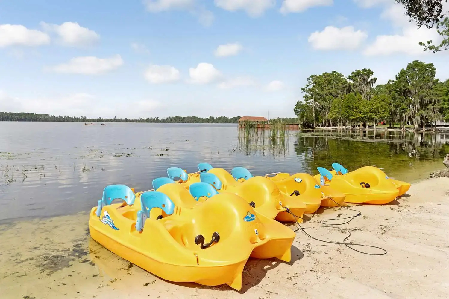 Foto - Hilton Vacation Club Grand Beach Orlando