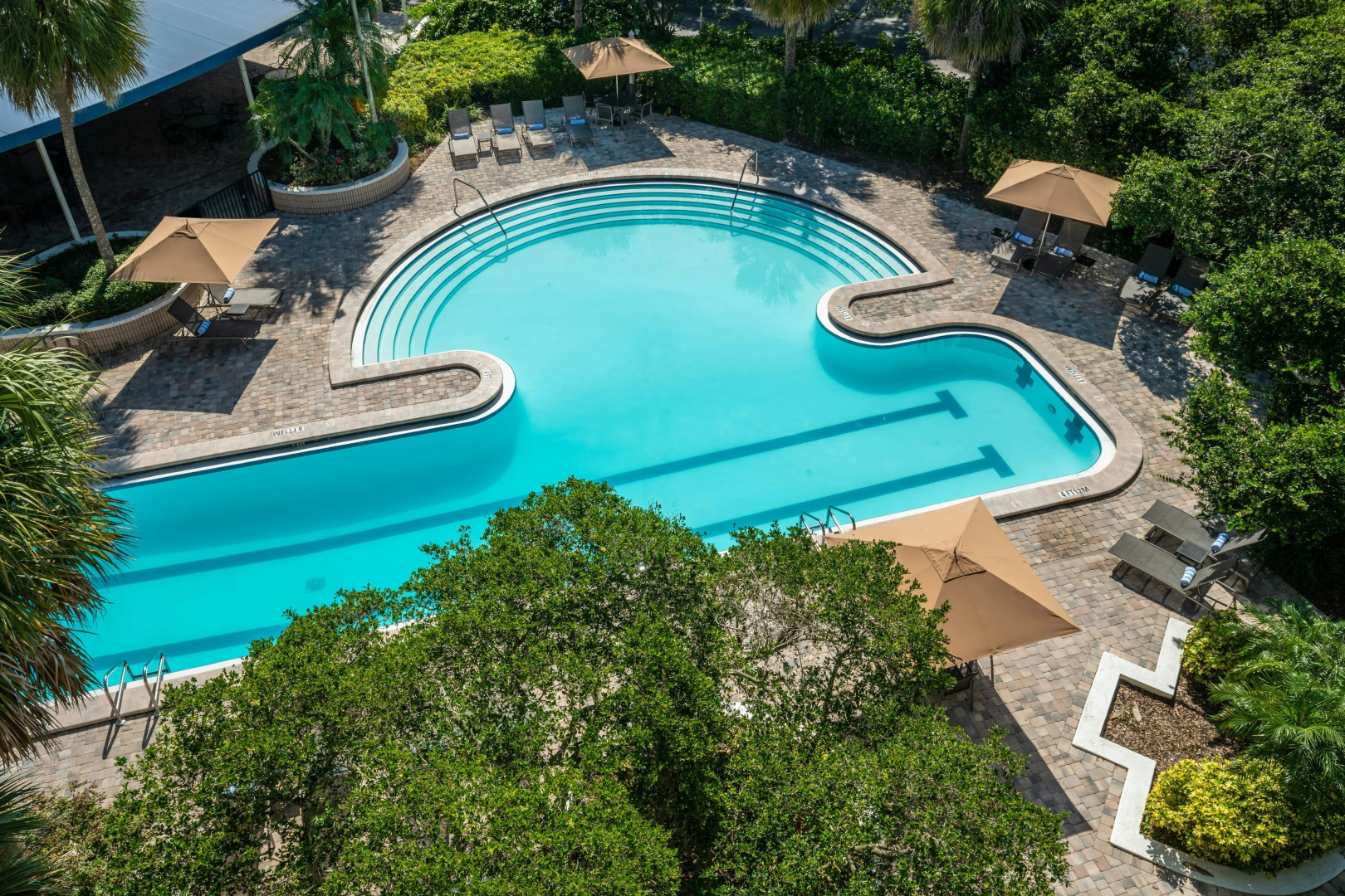 Foto - Sheraton Tampa Brandon Hotel
