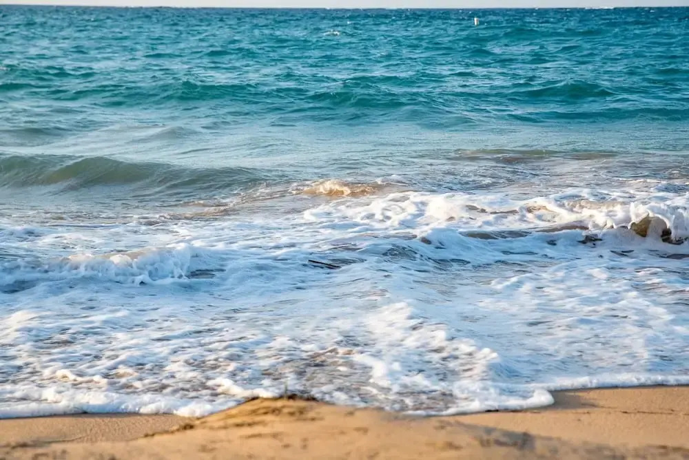 Foto - Numero Uno Beach Apartments