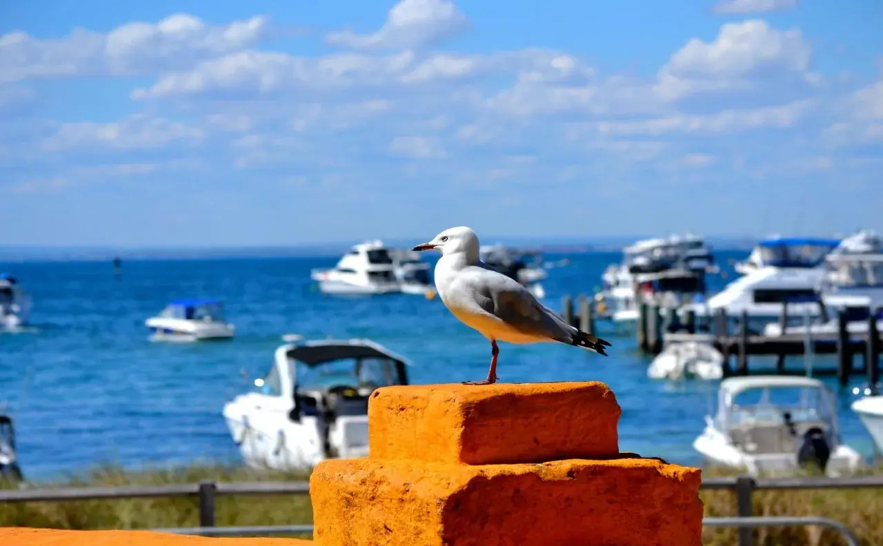 Foto - Palms Bed & Breakfast