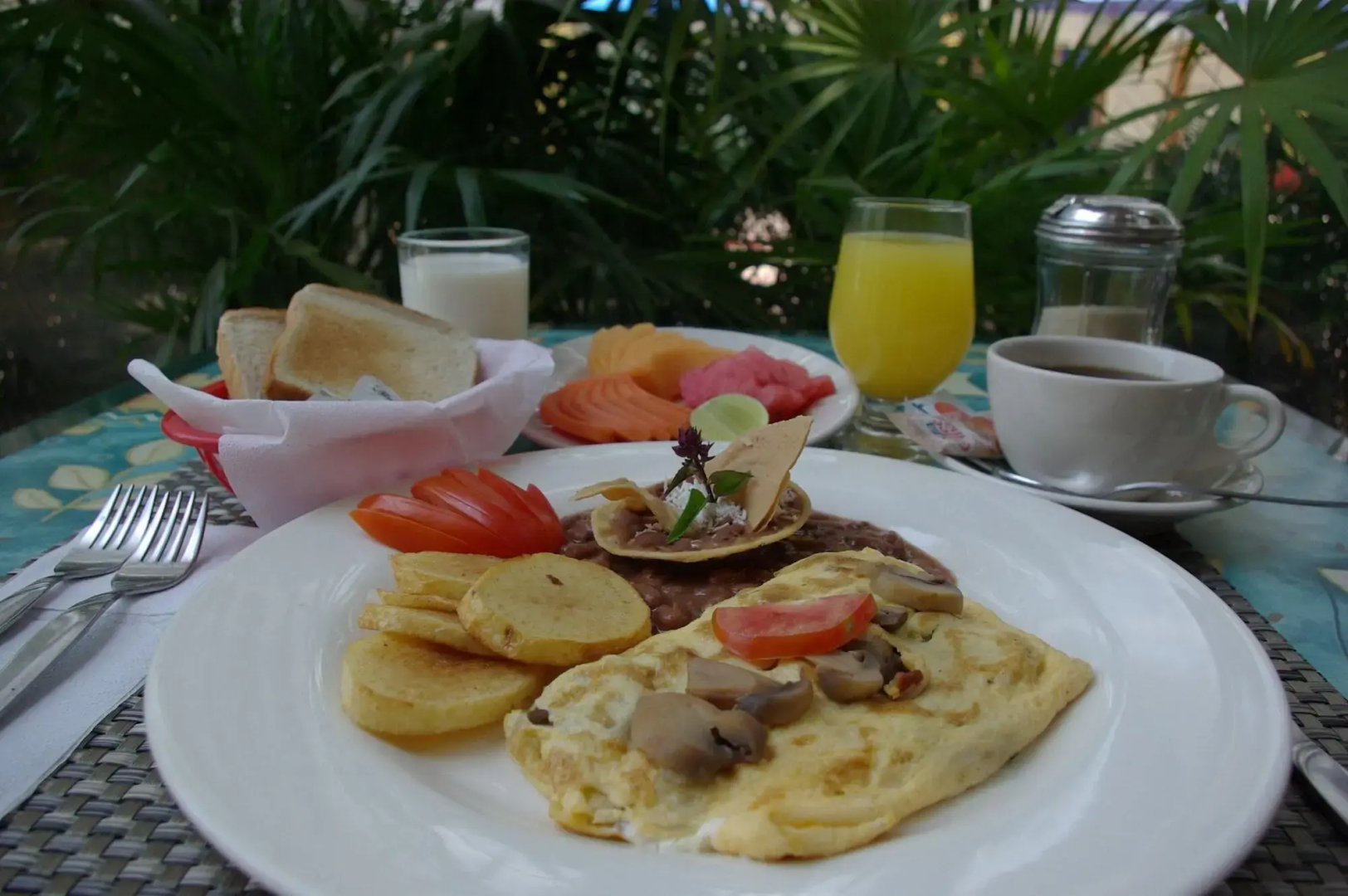 Foto - Hotel Delfines Acapulco by NG Hoteles