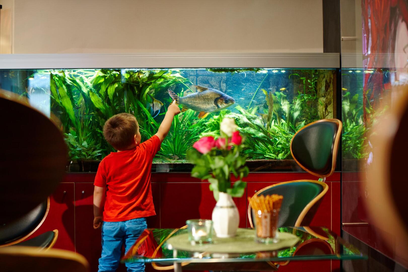 Foto - Hotel Concorde