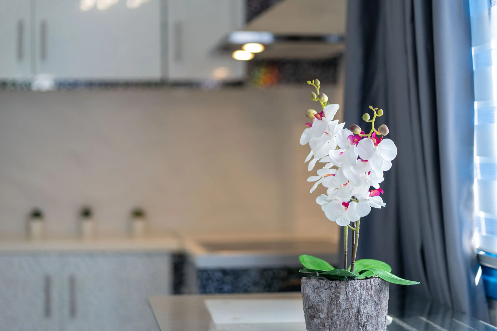 Foto - Santorita Suites