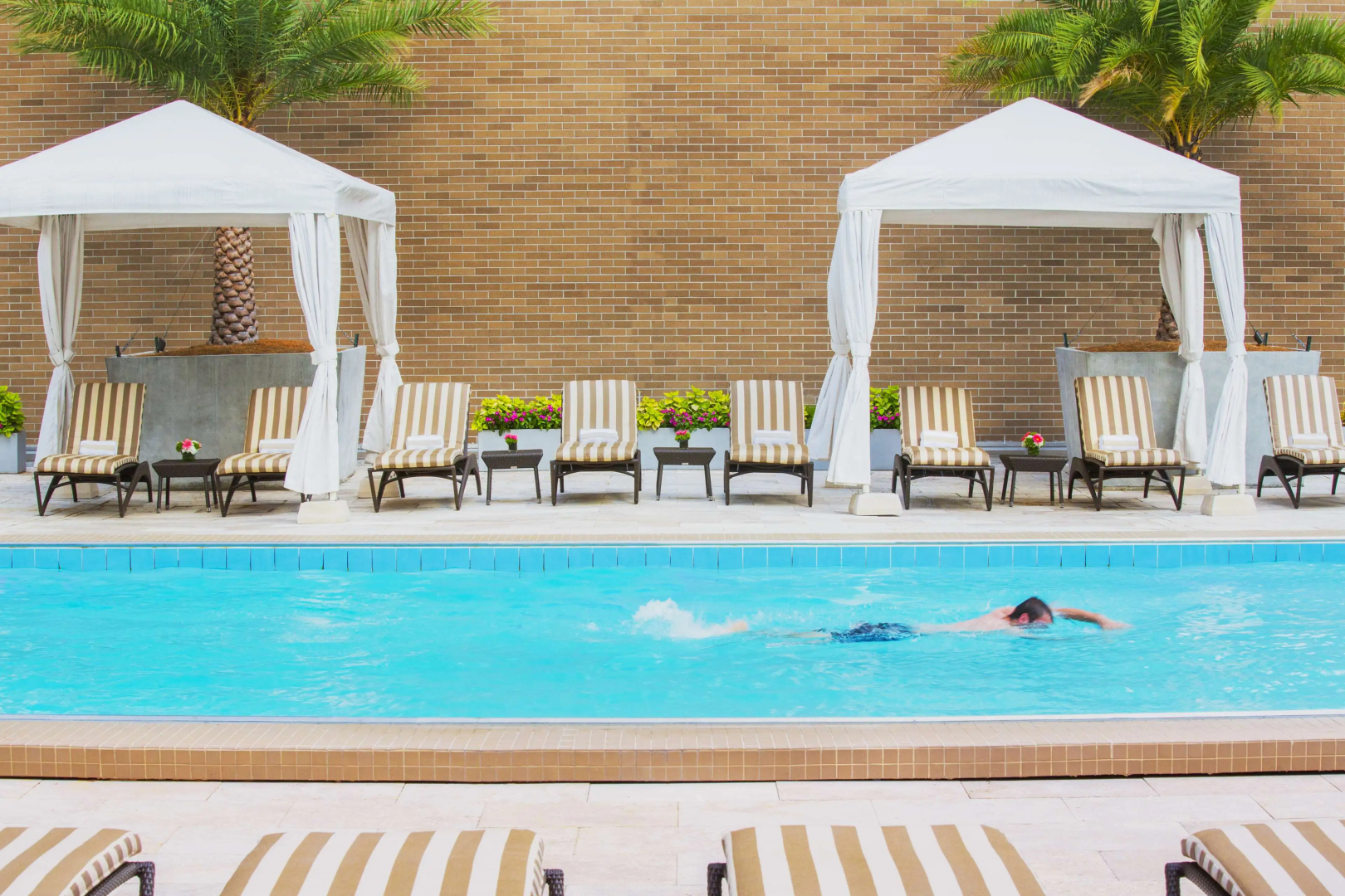 Foto - Hyatt Regency New Orleans