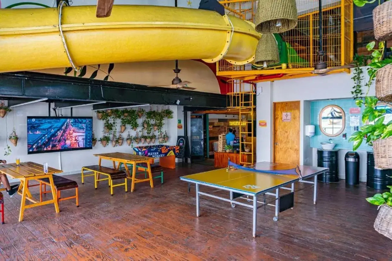 Foto - Mayan Monkey Cancun - Social Hotel